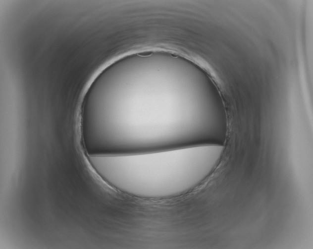 X0000112951524200908241017