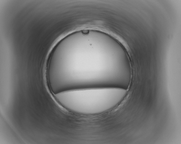 X0000112951525200908241017