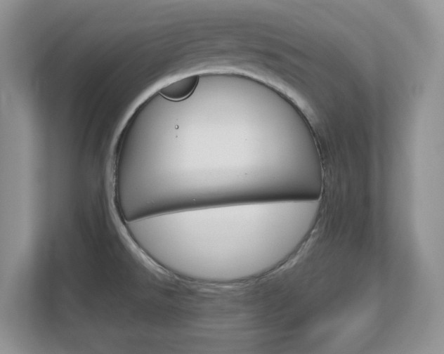 X0000112951526200908241017