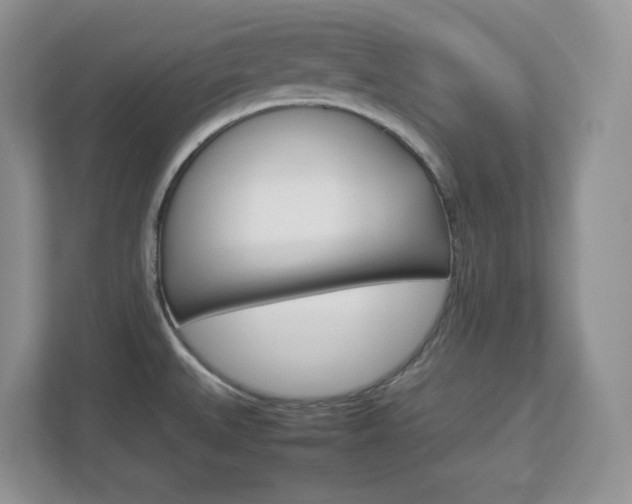X0000112951527200908241017
