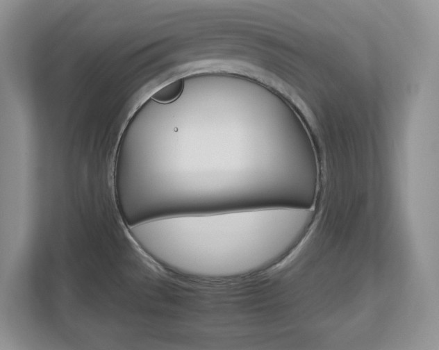 X0000112951529200908241017