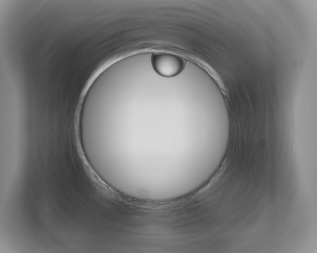 X0000112951530200908241017