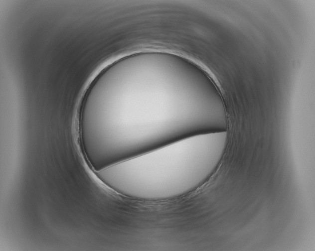 X0000112951531200908241017