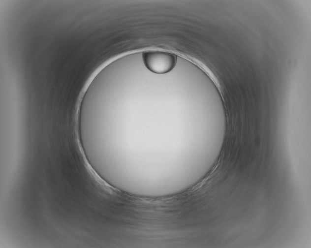 X0000112951532200908241017