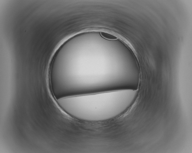 X0000112951533200908241017