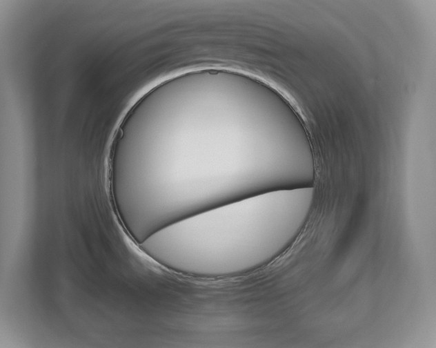 X0000112951535200908241017