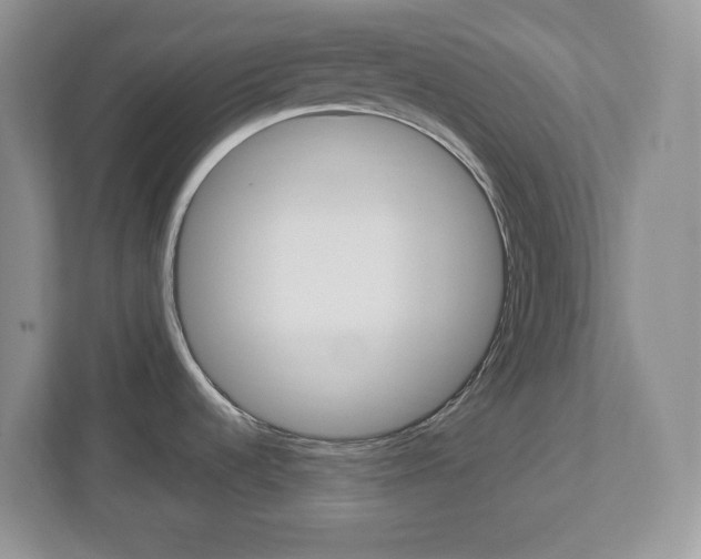 X0000112951536200908241017
