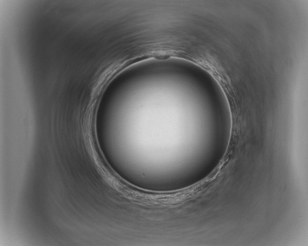 X0000112950001200908241352