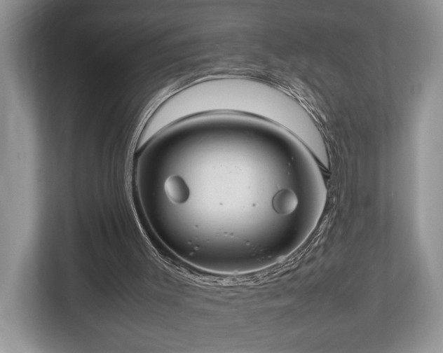 X0000112950003200908241352