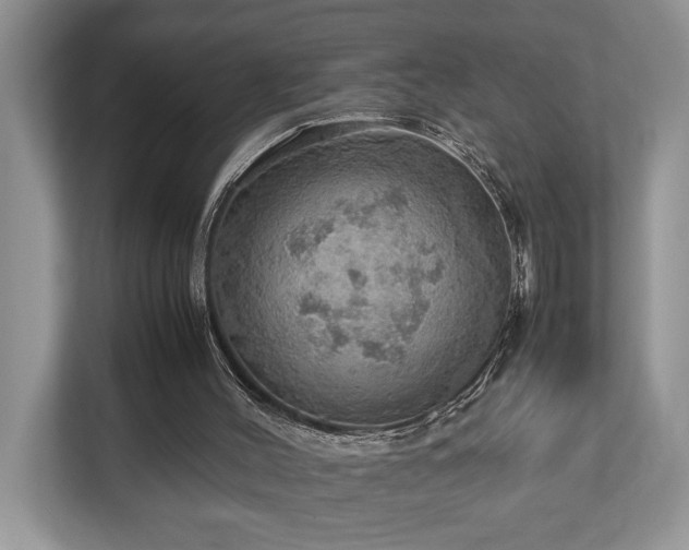 X0000112950004200908241352