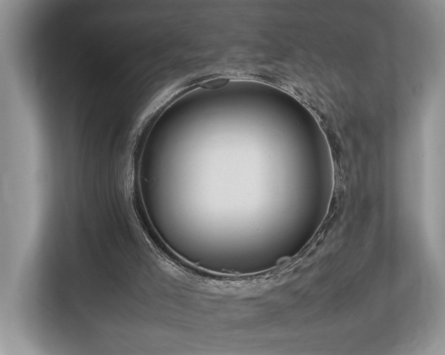 X0000112950005200908241352