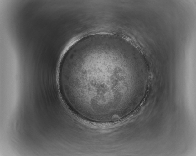 X0000112950006200908241352