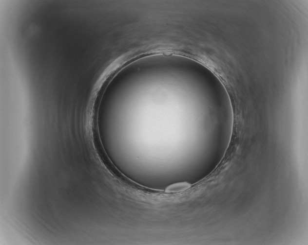 X0000112950007200908241352