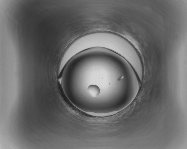 X0000112950009200908241352