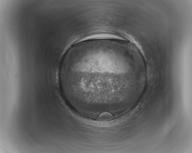 X0000112950010200908241352