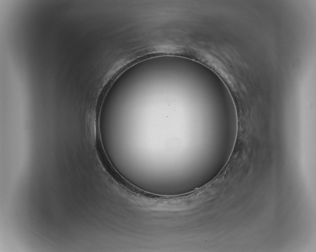 X0000112950011200908241352