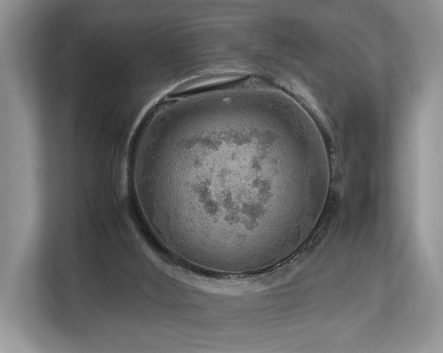 X0000112950012200908241352