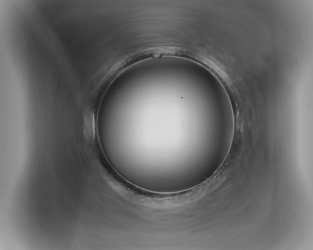 X0000112950013200908241352