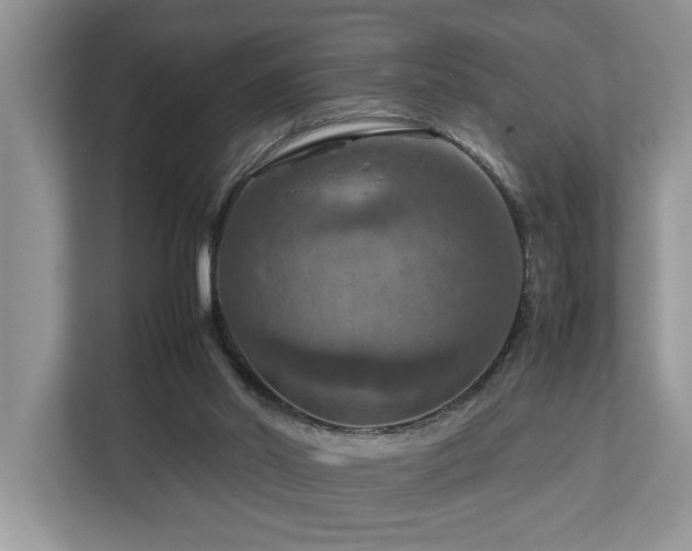 X0000112950014200908241352