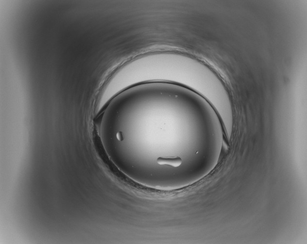 X0000112950015200908241352