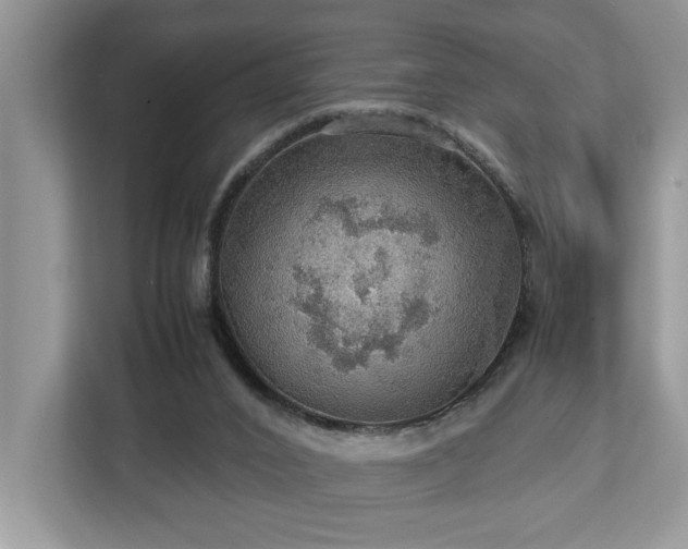 X0000112950016200908241352