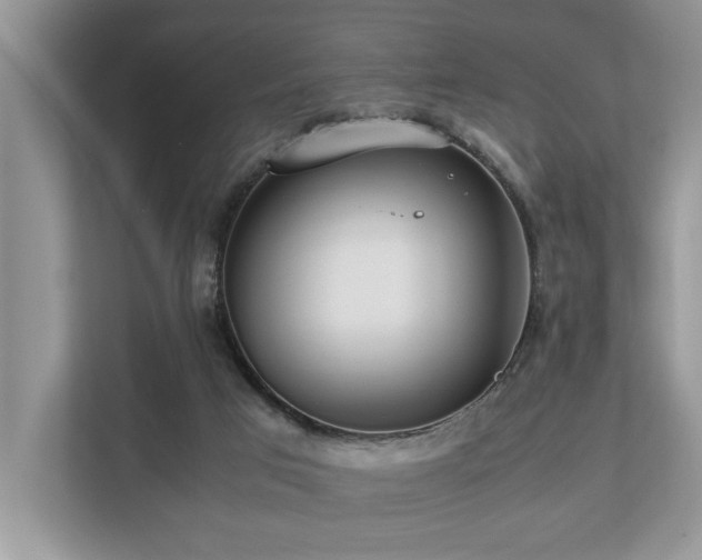 X0000112950017200908241352