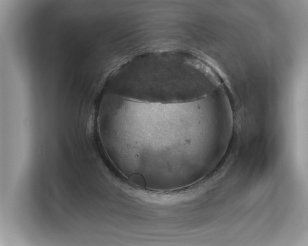 X0000112950018200908241352