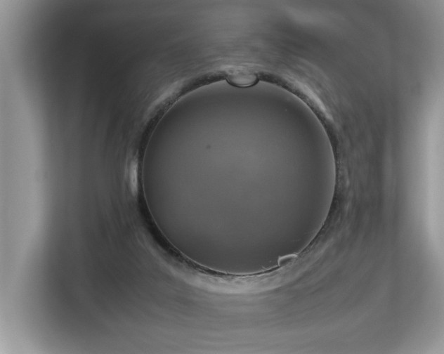 X0000112950019200908241352