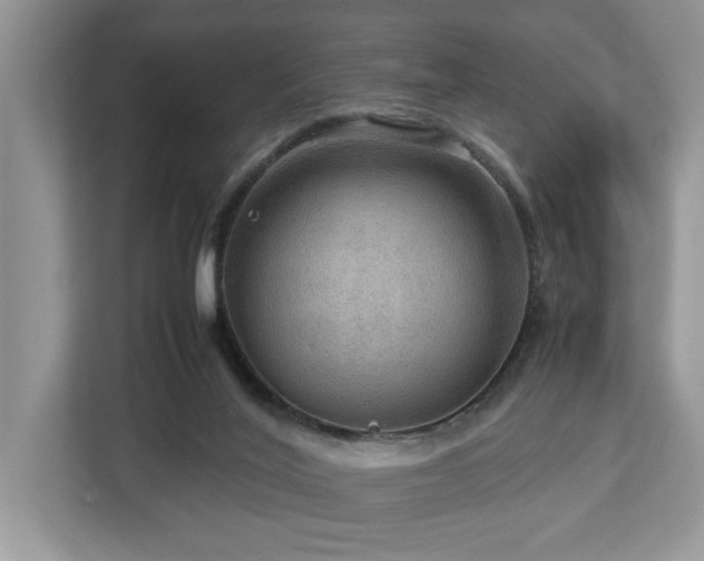 X0000112950020200908241352