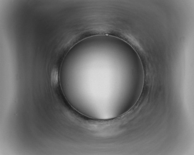 X0000112950021200908241352