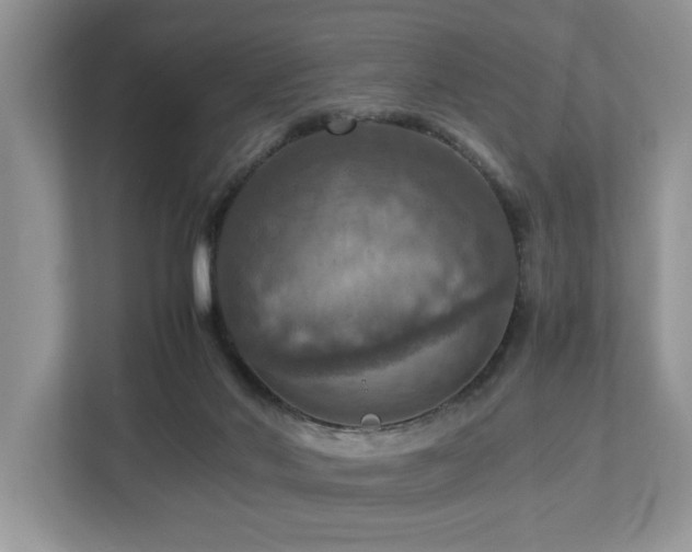 X0000112950022200908241352