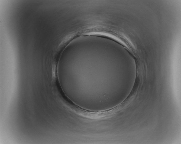 X0000112950023200908241352