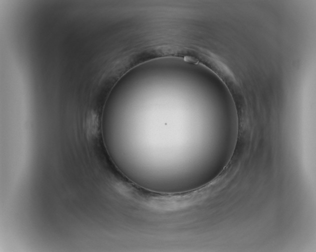 X0000112950025200908241352