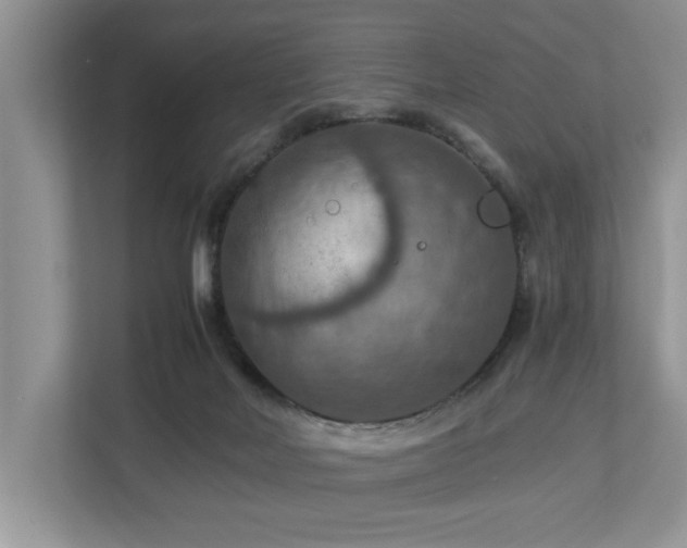 X0000112950026200908241352