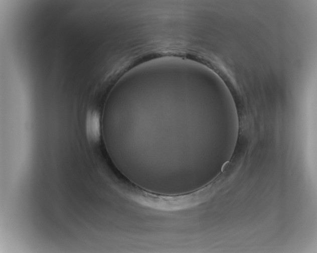 X0000112950027200908241352