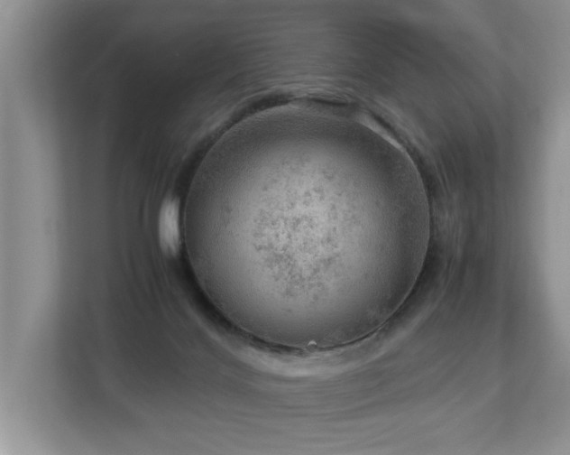 X0000112950028200908241351