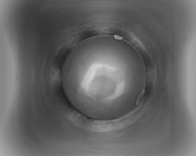 X0000112950029200908241351