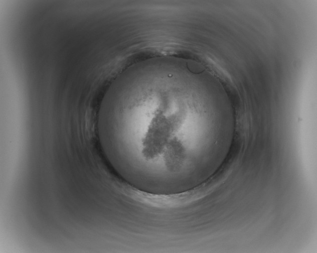 X0000112950030200908241351