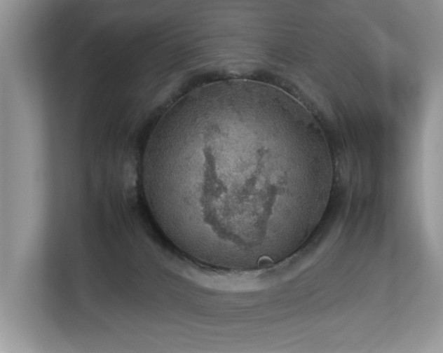 X0000112950032200908241351