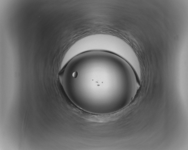 X0000112950033200908241351