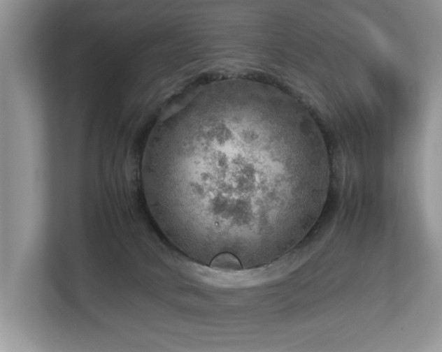 X0000112950034200908241351