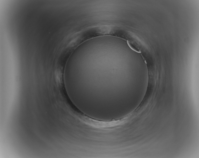 X0000112950035200908241351