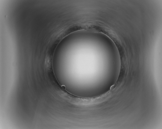 X0000112950037200908241351