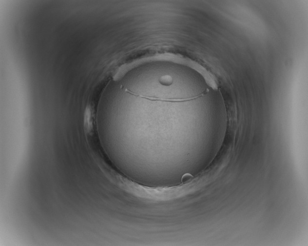 X0000112950038200908241351