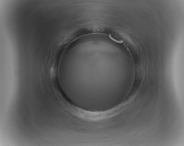 X0000112950039200908241351