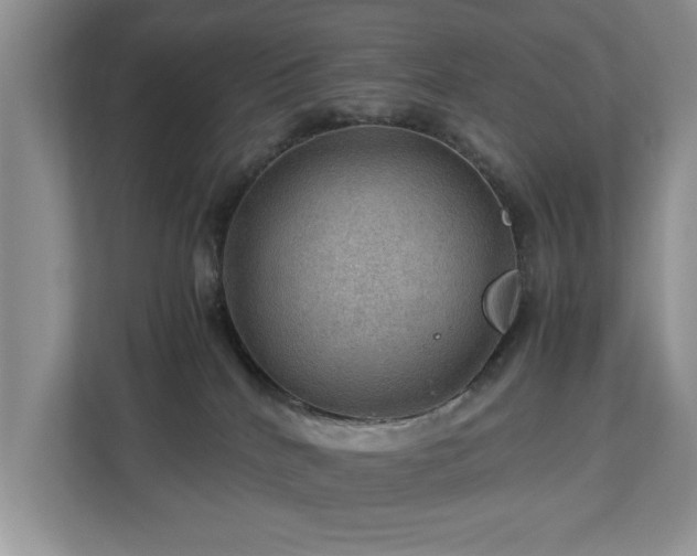 X0000112950040200908241351