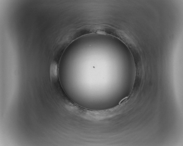 X0000112950041200908241351