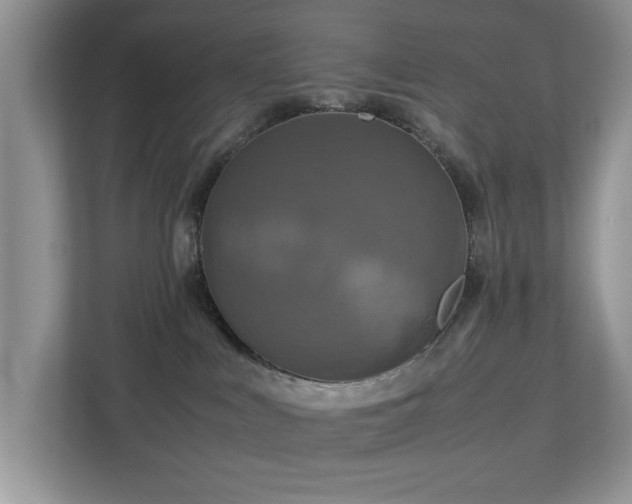 X0000112950043200908241351