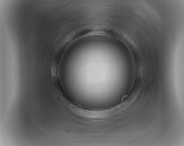 X0000112950044200908241351