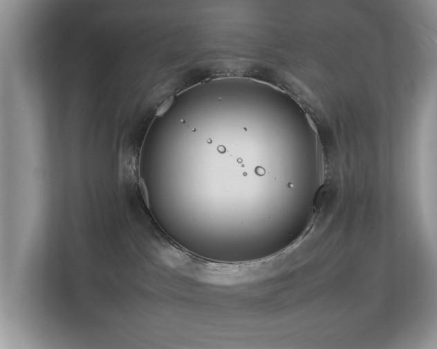 X0000112950045200908241351